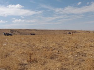 Elazığ’da 136 Bin Dekar Alanda Mera Islah Çalışmaları Tamamlandı