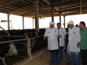 Şanlıurfa’da Kent Sorunlarına Neşter Vuruluyor