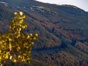 Ortaseki’de Sonbahar Güzelliği