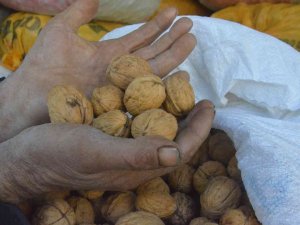 Başkan Arslan Pazarcı Esnafıyla Bir Araya Geldi