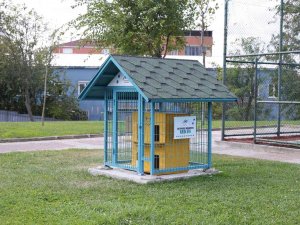 Sultangazi Belediyesi Sokak Hayvanlarına Desteğini Sürdürüyor