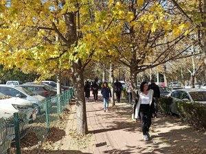 Esogü’den Hayran Bırakan Sonbahar Manzaraları