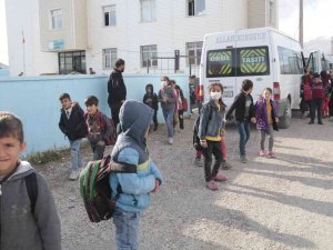 Kuduz Köpeğin Isırdığı Çocuğun Köyünde Başıboş Köpekler Korku Saçıyor