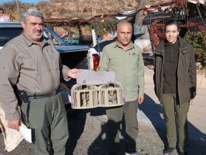 Kafes Avcılarına Göz Açtırılmıyor