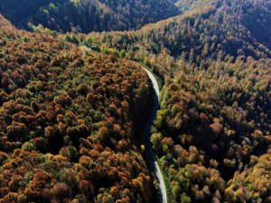 Çam Dağı’nın Hayran Bırakan Sonbahar Manzarası