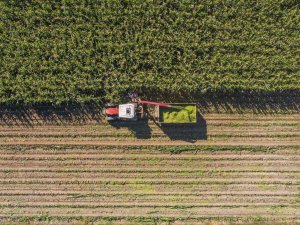 Başkanın Ektiği Tarla Hasat Edildi