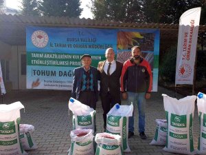 Un Fiyatlarının Düşmesi İçin Buğday Ekilen Alanlar Artıyor