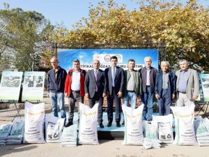 Körfezli Çiftçilere 37 Ton Tohum Dağıtıldı