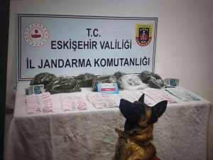 Jandarmadan Uyuşturucu Operasyonu