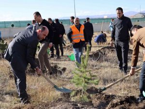Kars Adliyesi’nde Fidan Dikimi Yapıldı