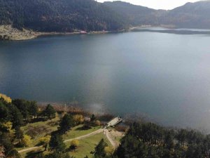 Kilometrelerce Öteden Gelerek Sonbaharı Abant’ta Yaşıyorlar