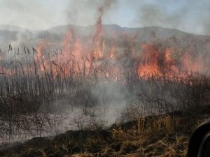 Gönen Bakırlı Kırsal Mahallesinde Yangın Çıktı