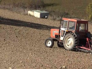 Türkiye’nin En Ucuz Ekmeği Artık Bu Tarladan Çıkacak