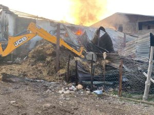 Çanakkale’de Samanlık Yangını: 6 İnek Telef Oldu