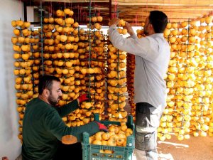 İ̇plere Dizilen Altın Sarısı Hurmaların "Kuruyemiş" Yolculuğu Başladı