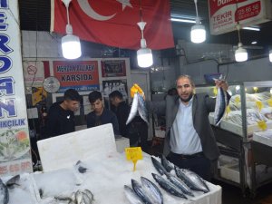 Balık Tezgahlarında Palamut Bolluğu