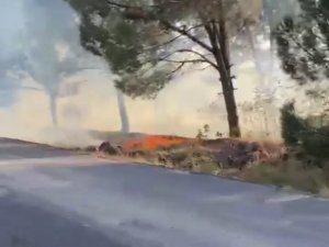 Ormanlık Alanda Çıkan Yangın Korkuttu