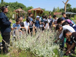 Yeryüzü Ekoloji Okulu Çok Sevildi