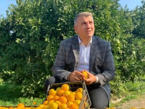 Havran Ovası İçin 60 Milyonluk Kaynak Cumhurbaşkanlığı Tarafından Onaylandı