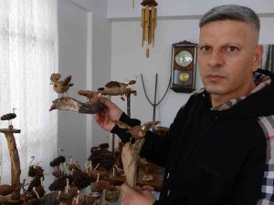 Doğadan Topladığı Ağaç Parçalarını Sanata Dönüştürüyor