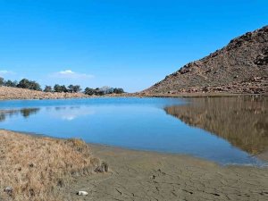 Kartal Gölündeki Detay Beşiktaşları Sevindirecek