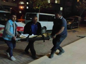 Ölüme Terk Ettiği Köpek Gece Yarısı Ameliyata Alındı