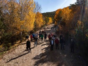 Akdağmadeni Ormanlarında Öğretmenler Doğa Yürüyüşü Yaptı
