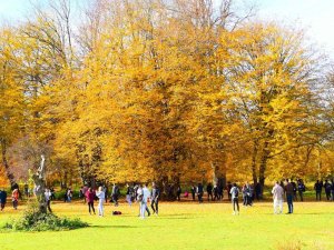 Yenice Ormanlarını Turizme Kazandırmak İçin Doğa Yürüyüşü Düzenlendi