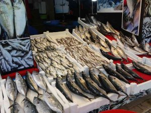 Palamut Avında Düşüş, Diğer Balık Çeşitlerinin Avında İse Artış Yaşanıyor