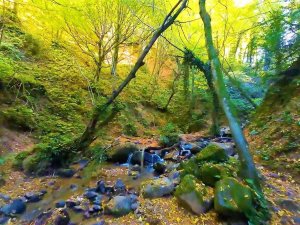 Sonbaharın Renkleri İle Nüzhetiye Şelalesi Birleşti, Eşsiz Görüntüler Ortaya Çıktı