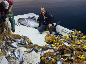 Palamudun Peşine Düşen Orkinos Ağlara Takıldı