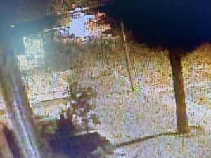 21 Yaşındaki Hatice’yi Hayattan Koparan Kaza Anı Kamerada