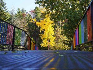 Sonbaharda ’Seyr-i Sefa’ Keçiören