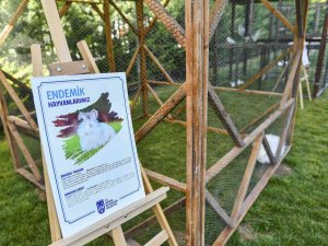 Başkentin 5 Beyazı Öğrencilere Tanıtılıyor