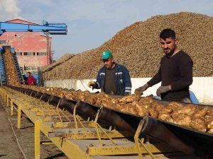 Şeker Pancarından Muş Ekonomisine 1 Milyar 400 Milyon Liralık Tatlı Katkı