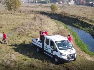 Yoncalı Meraları Kene Zararlısına Karşı İlaçlandı