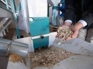 Konya Büyükşehir’den Çumra’daki Kabak Çekirdeği Üreticisine Eleme Tesisi Desteği