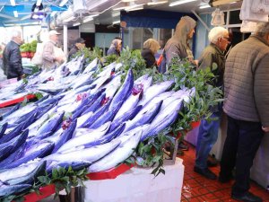 Bolu’da Balık Tezgahları Palamut Ve Hamsiyle Doldu