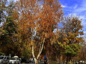 Erzurum’da Sonbahar Manzarası Büyülüyor