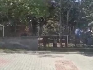 Öğrencilerin Okuldan Kaçışları Tehlike Saçıyor