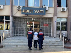 10 Yıl Hapis Cezası İle Aranıyordu, Jandarma Yakaladı