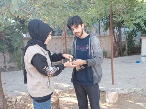 Yaralı Hayvanlar Tedavi Altına Alındı