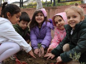Minik Öğrenciler Okullarında Lavanta Dikti