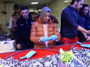 Balık Pazarında Denetim
