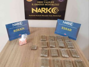 Ordu’da Uyuşturucu Operasyonunda 1 Kişi Tutuklandı
