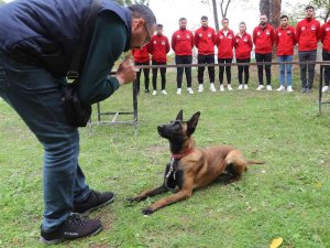 Arama Kurtarma Köpekleriyle Uygulamalı Eğitim Veren Tek Üniversitede Geleceğin Köpek Eğitmenleri Yetişiyor