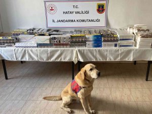 Hatay’da 11 Bin 140 Paket Kaçak Sigara Ele Geçirildi