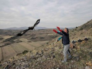 Tedavileri Tamamlanan Yaralı Kuşlar Özgürlüğe Kanat Çırptı