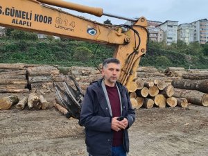 Zonguldak’ın Orman Ürünlerini 7 Ülkeye İhraç Ediyorlar