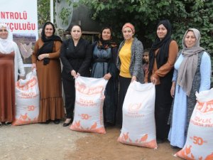Cizre’de Vatandaşa 2 Bin Tavuk, 24 Bin Ton Yem Dağıtıldı